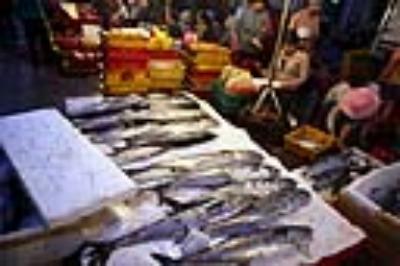 Vẻ đẹp thanh bình trên bãi biển Quy Nhơn